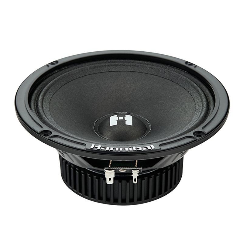 Hannibal HM-6E PRO | 6.5" Mid-Range Speakers (Pair)